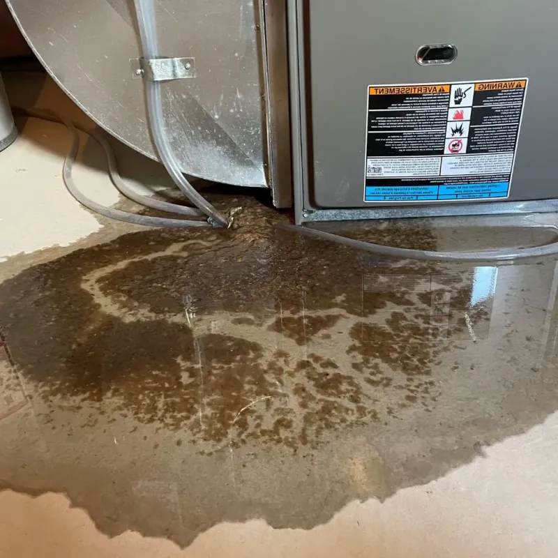 Pipe Burst and Leak Restoration in West Newbury, MA